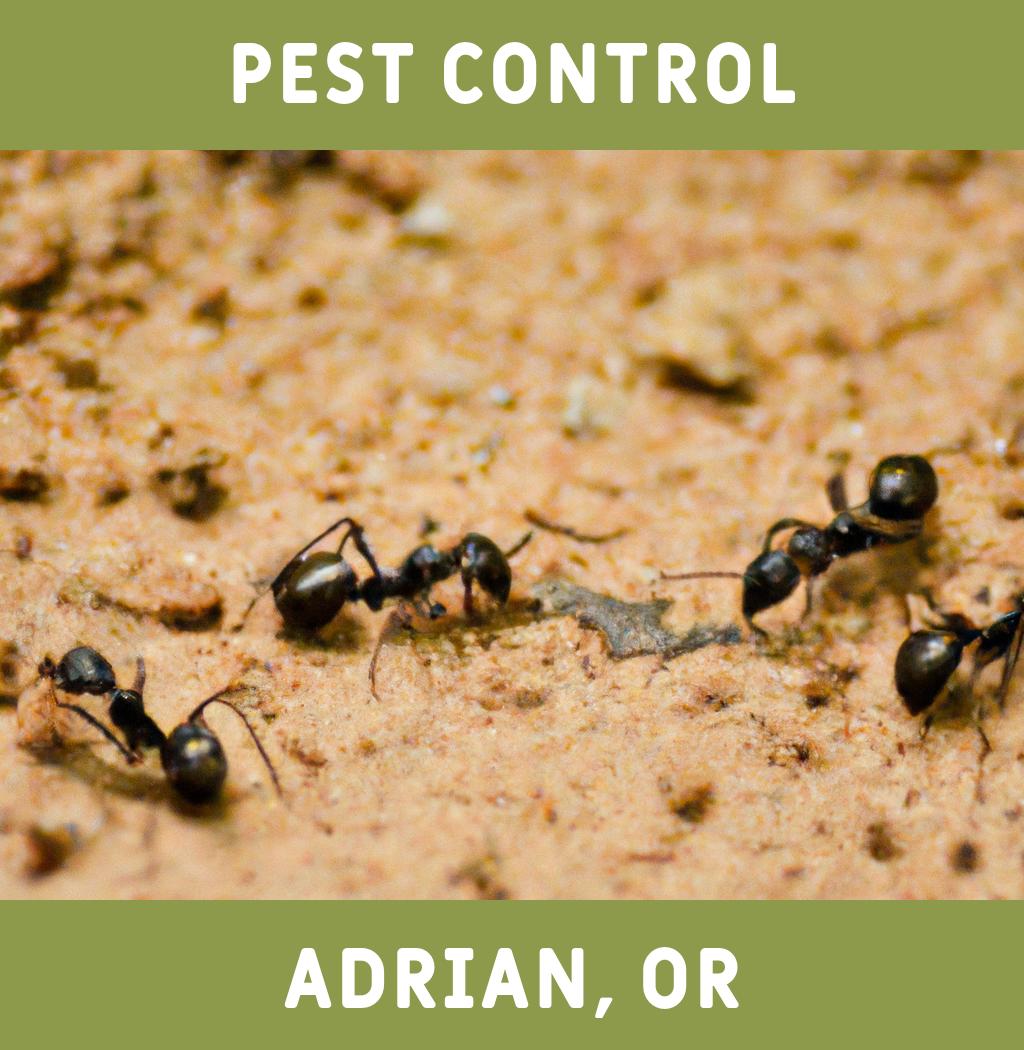 pest control in Adrian Oregon