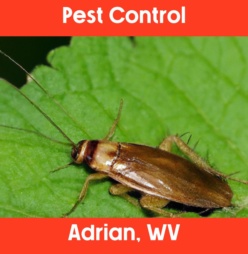 pest control in Adrian West Virginia