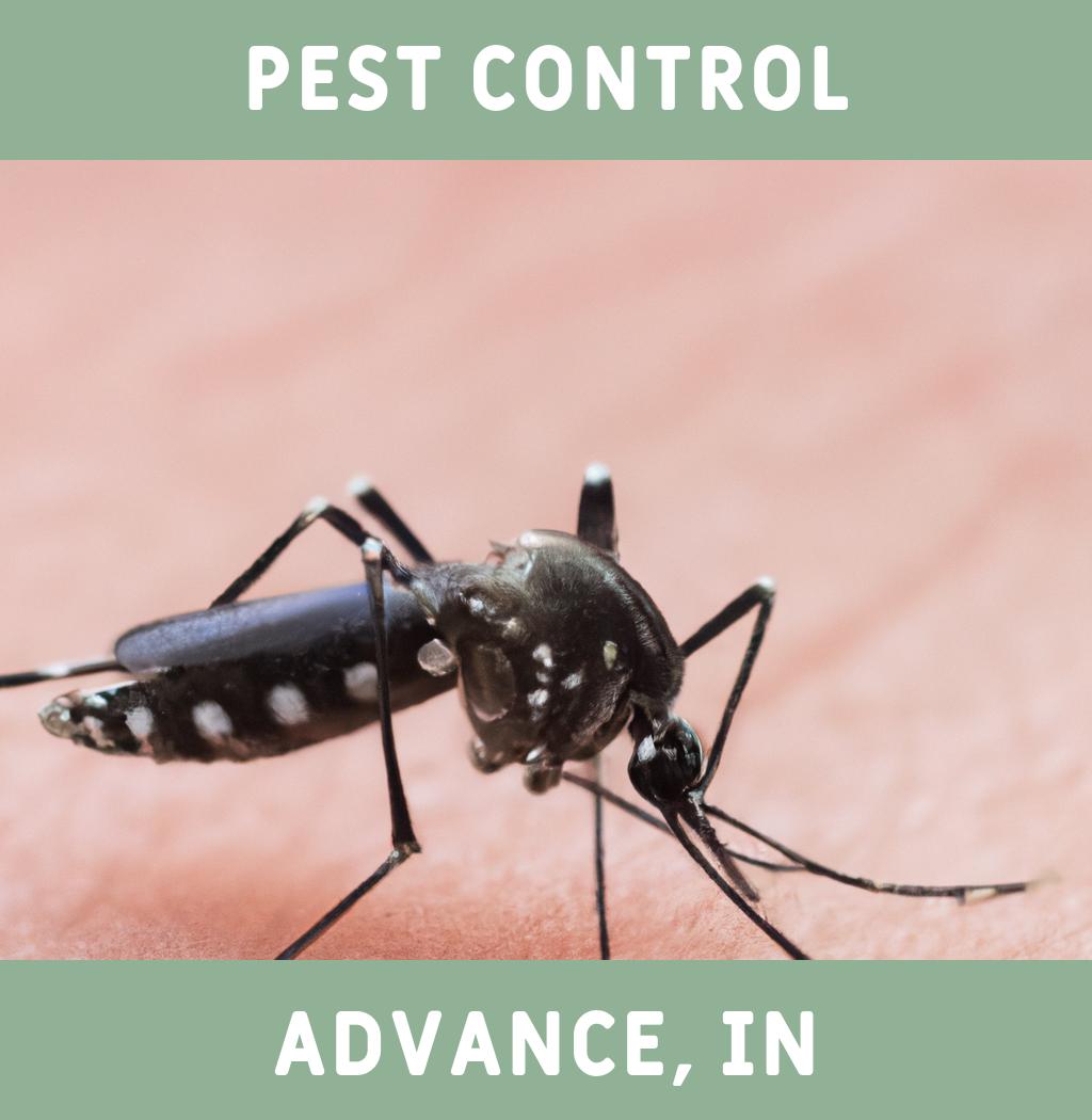 pest control in Advance Indiana