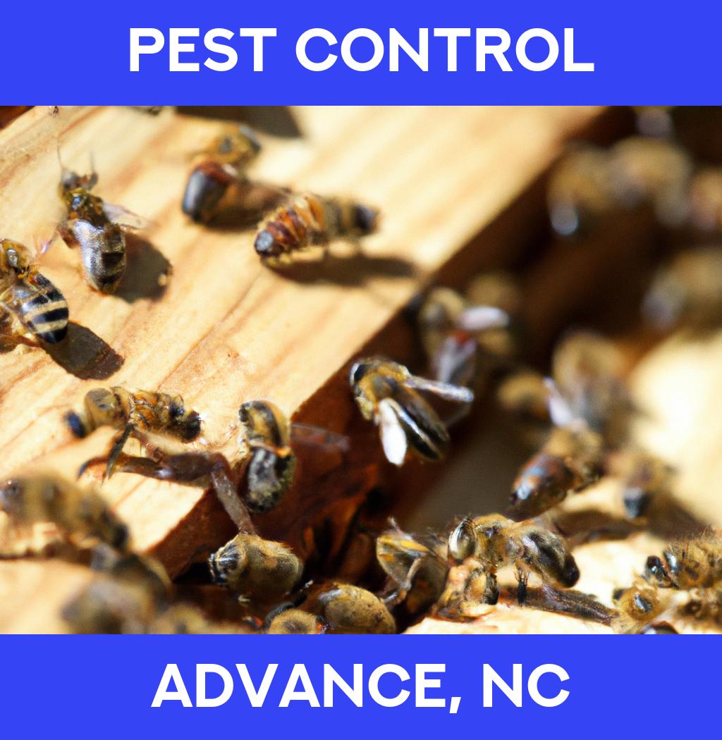 pest control in Advance North Carolina
