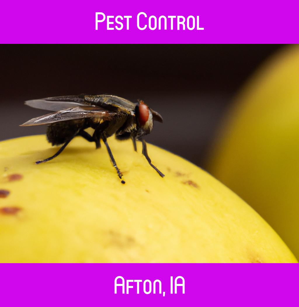 pest control in Afton Iowa