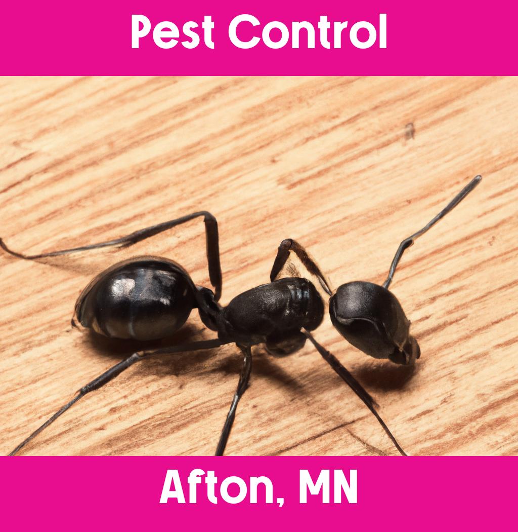 pest control in Afton Minnesota