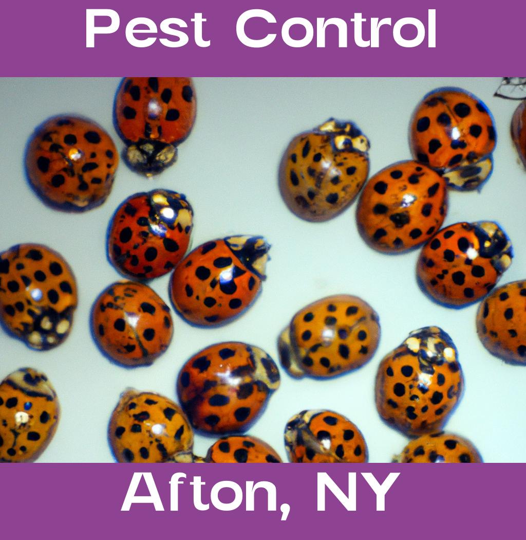 pest control in Afton New York