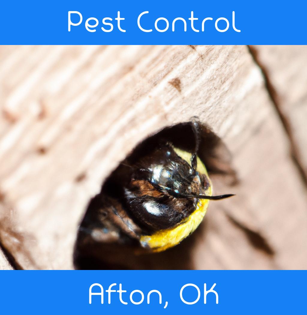 pest control in Afton Oklahoma