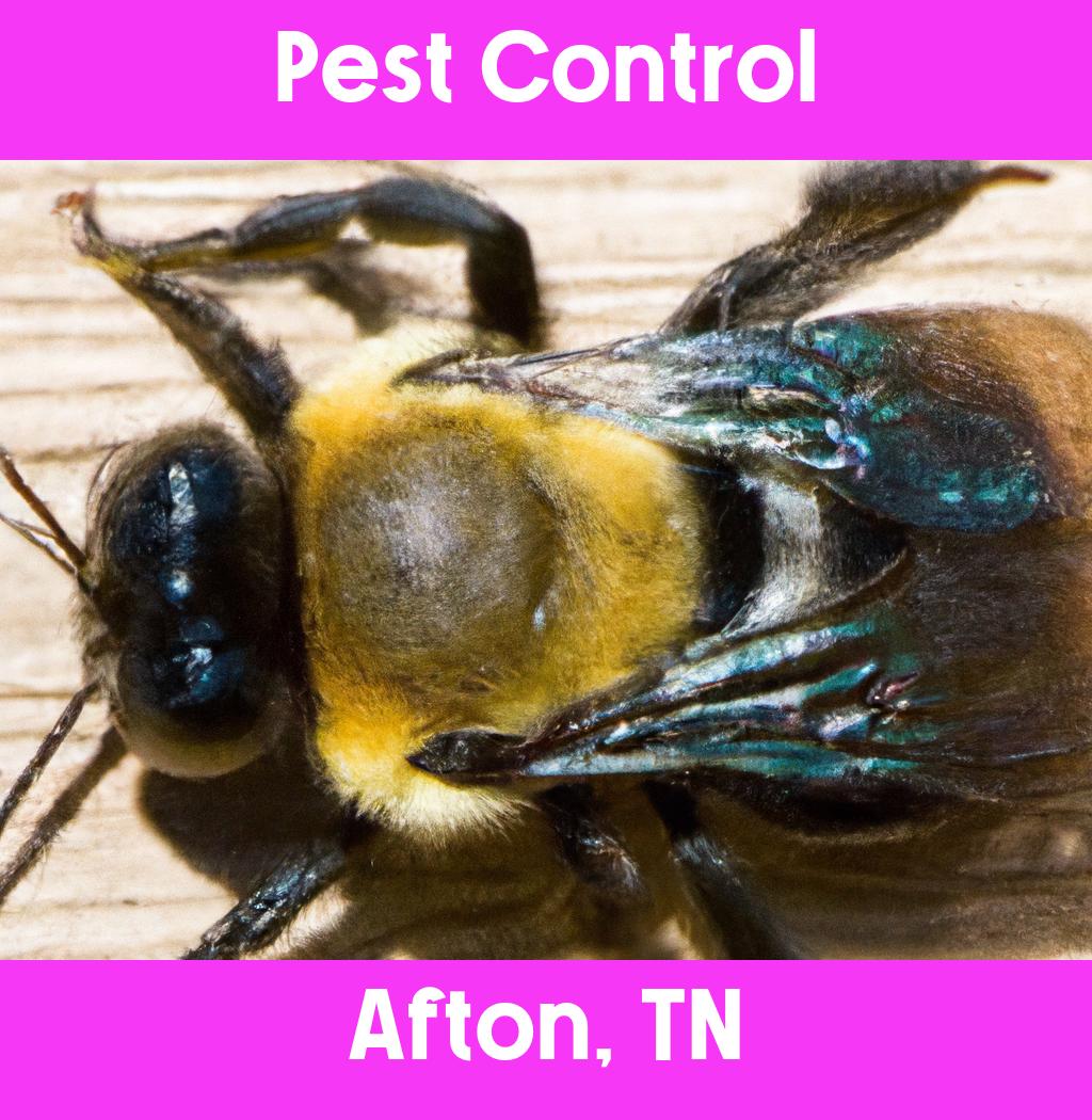 pest control in Afton Tennessee