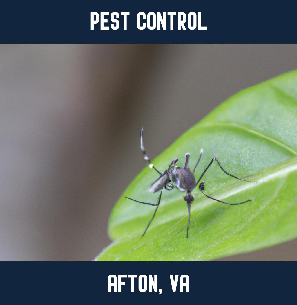 pest control in Afton Virginia