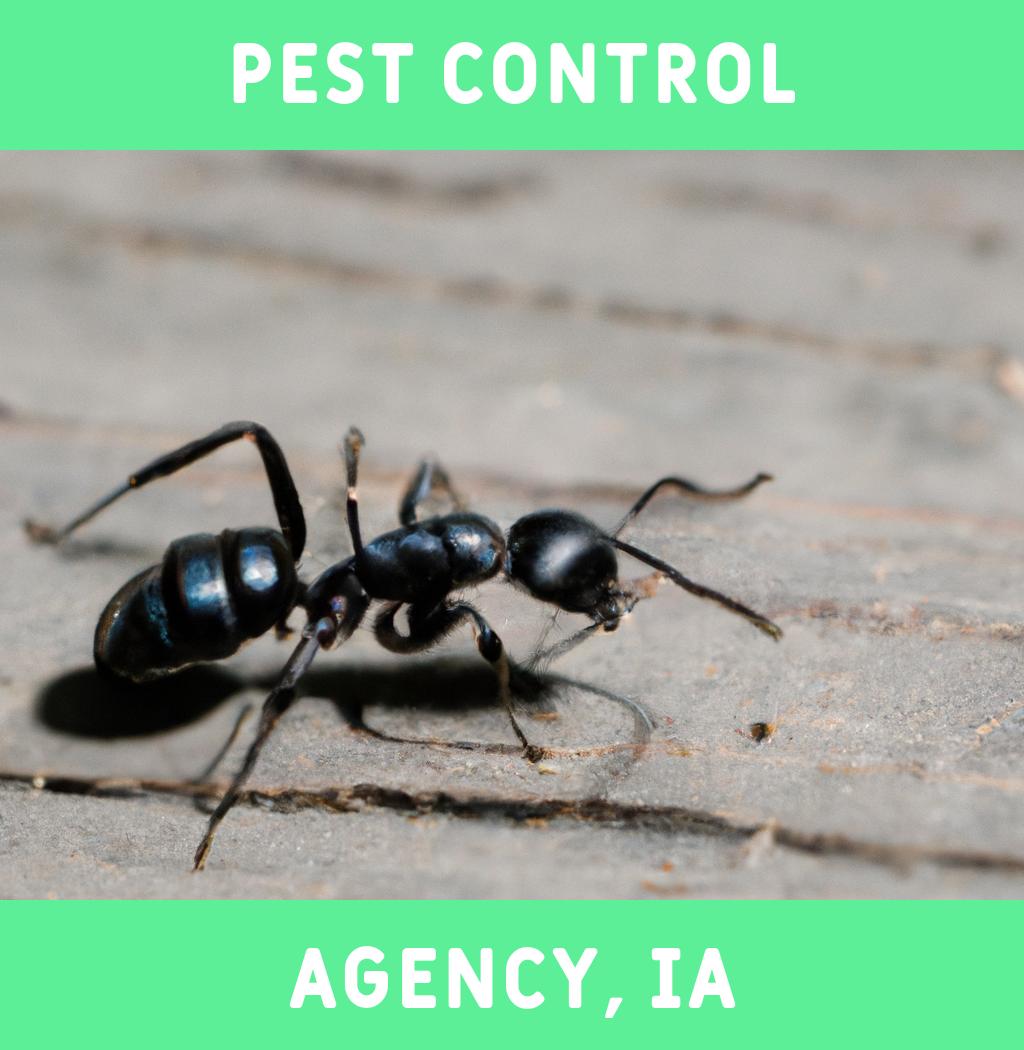 pest control in Agency Iowa