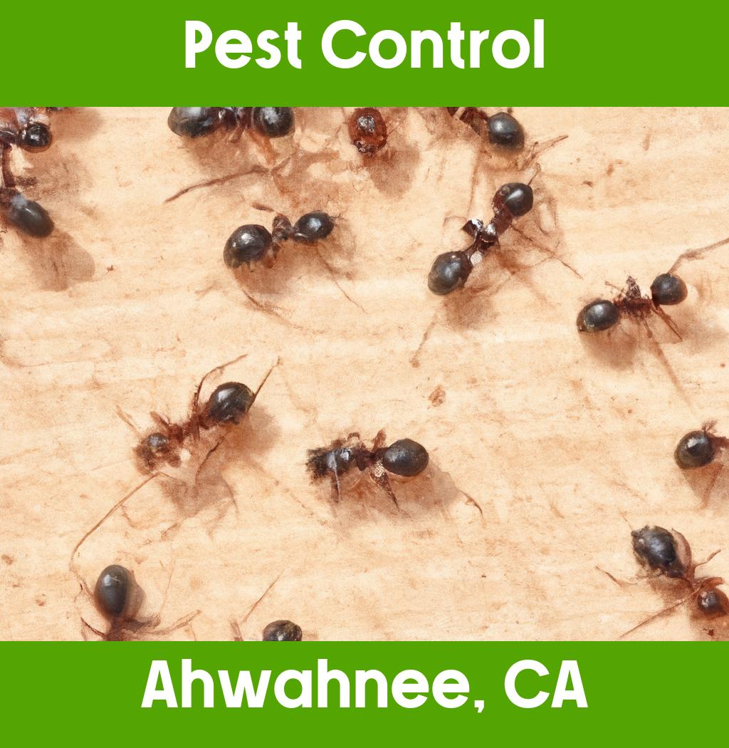 pest control in Ahwahnee California