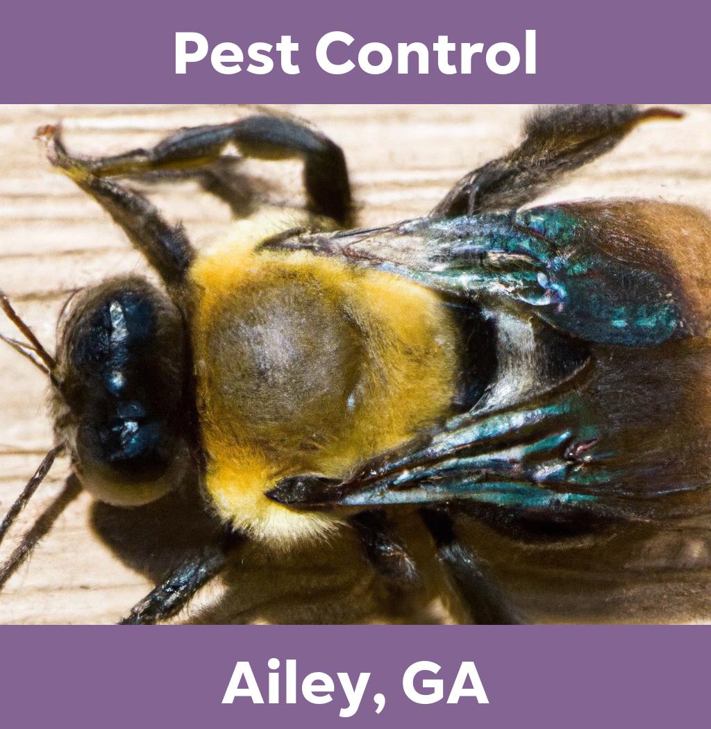 pest control in Ailey Georgia