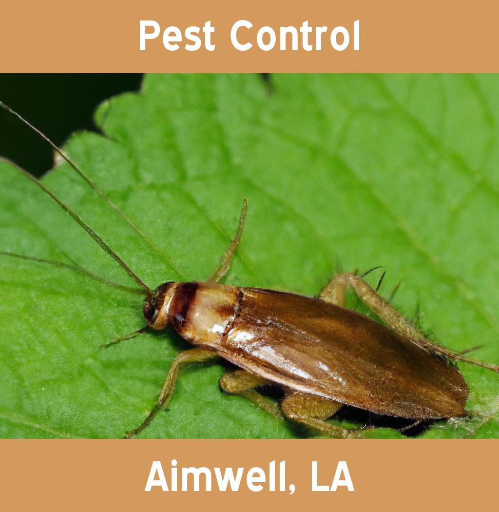 pest control in Aimwell Louisiana