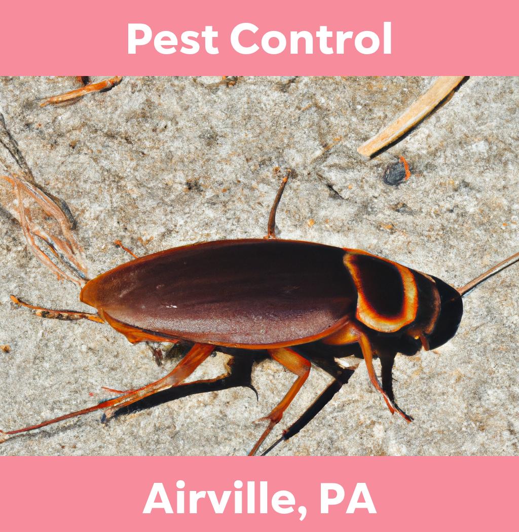 pest control in Airville Pennsylvania