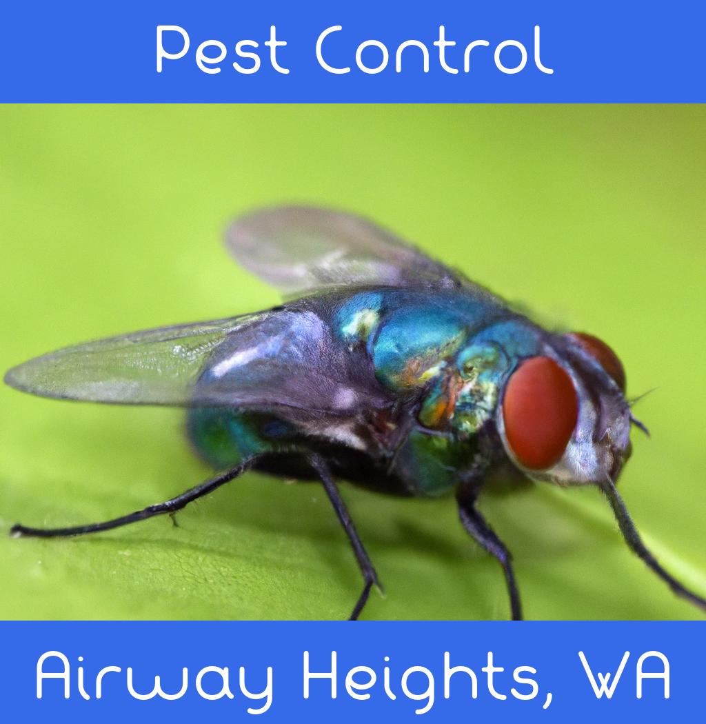 pest control in Airway Heights Washington