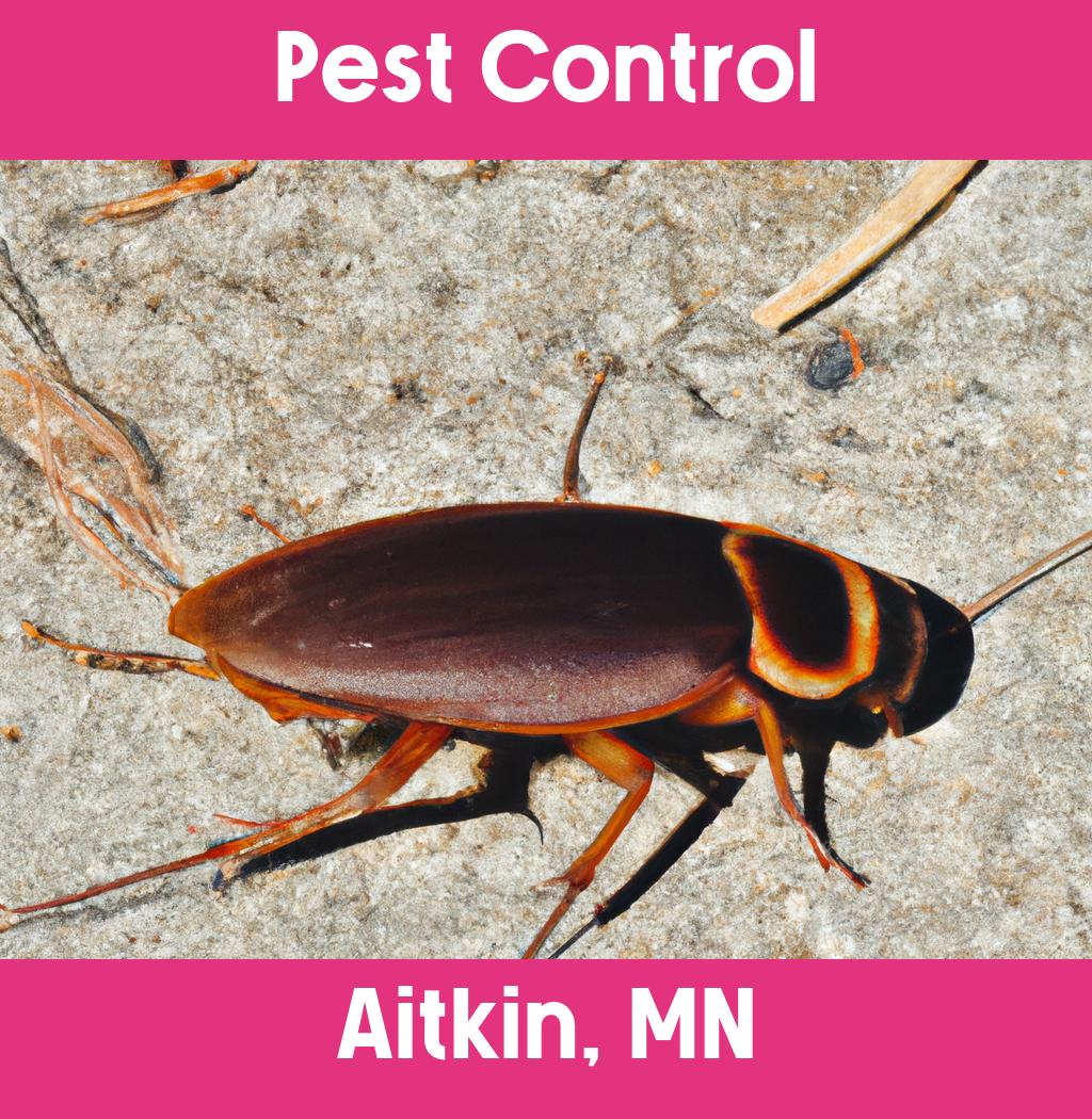 pest control in Aitkin Minnesota