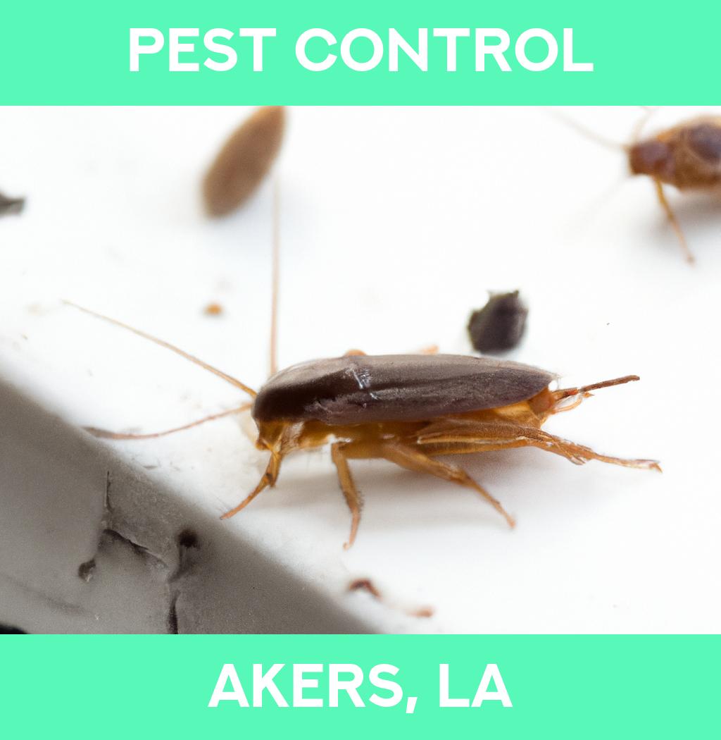 pest control in Akers Louisiana