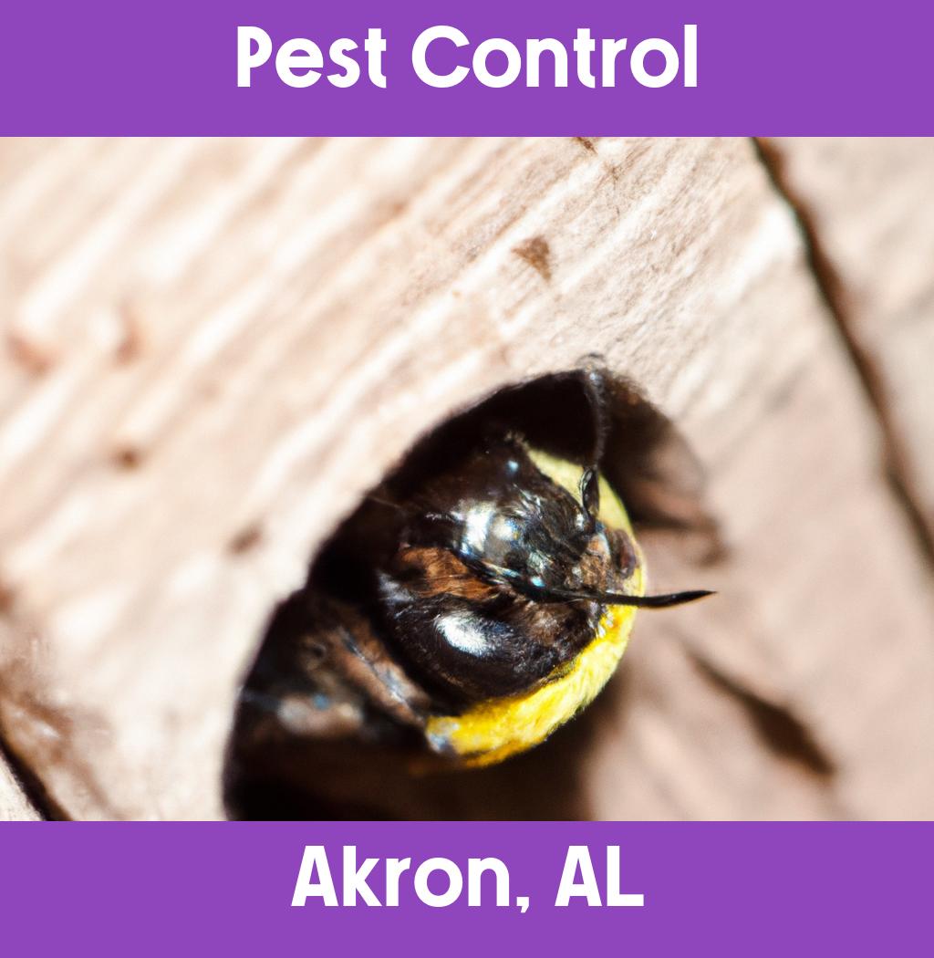 pest control in Akron Alabama