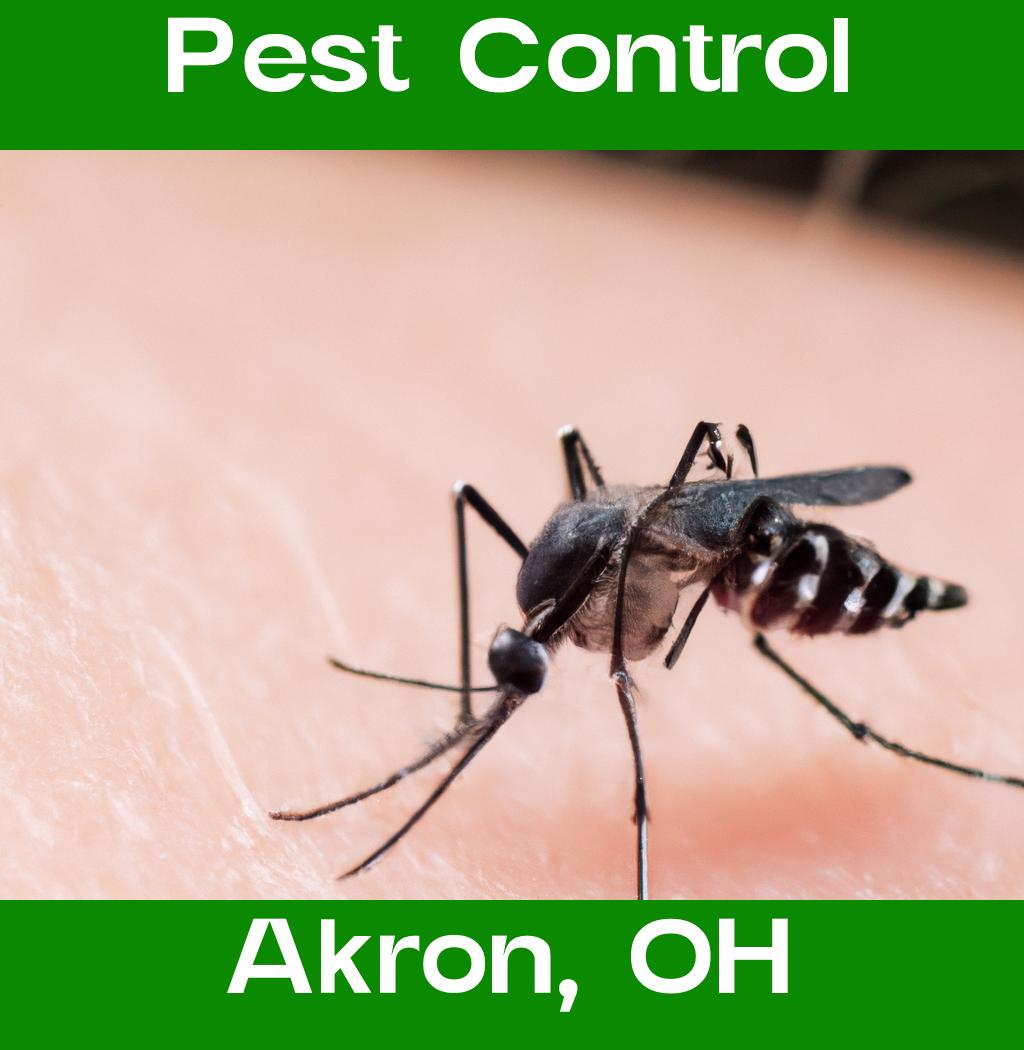 pest control in Akron Ohio