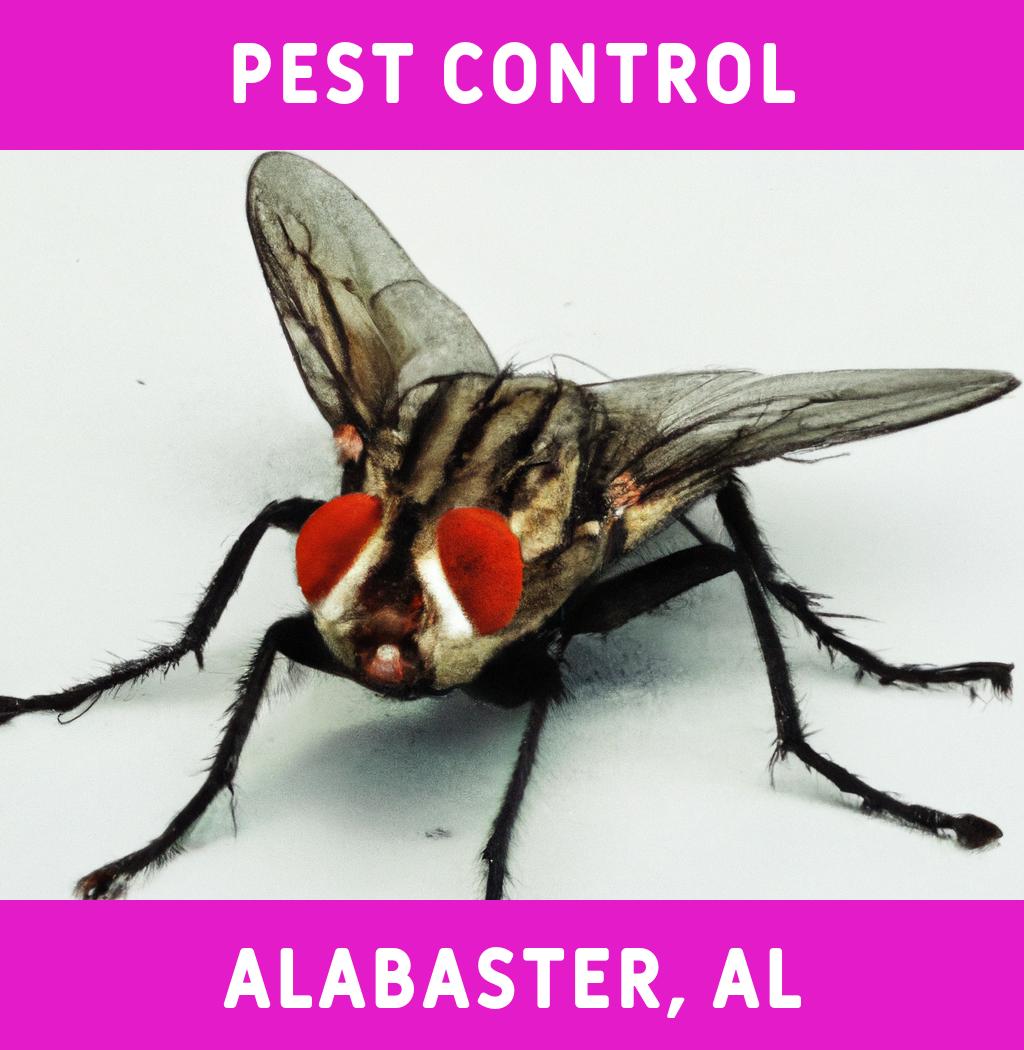 pest control in Alabaster Alabama