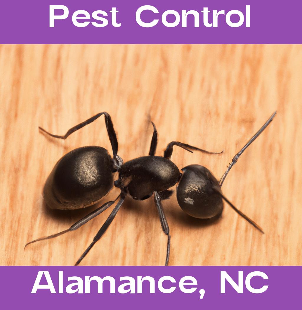 pest control in Alamance North Carolina