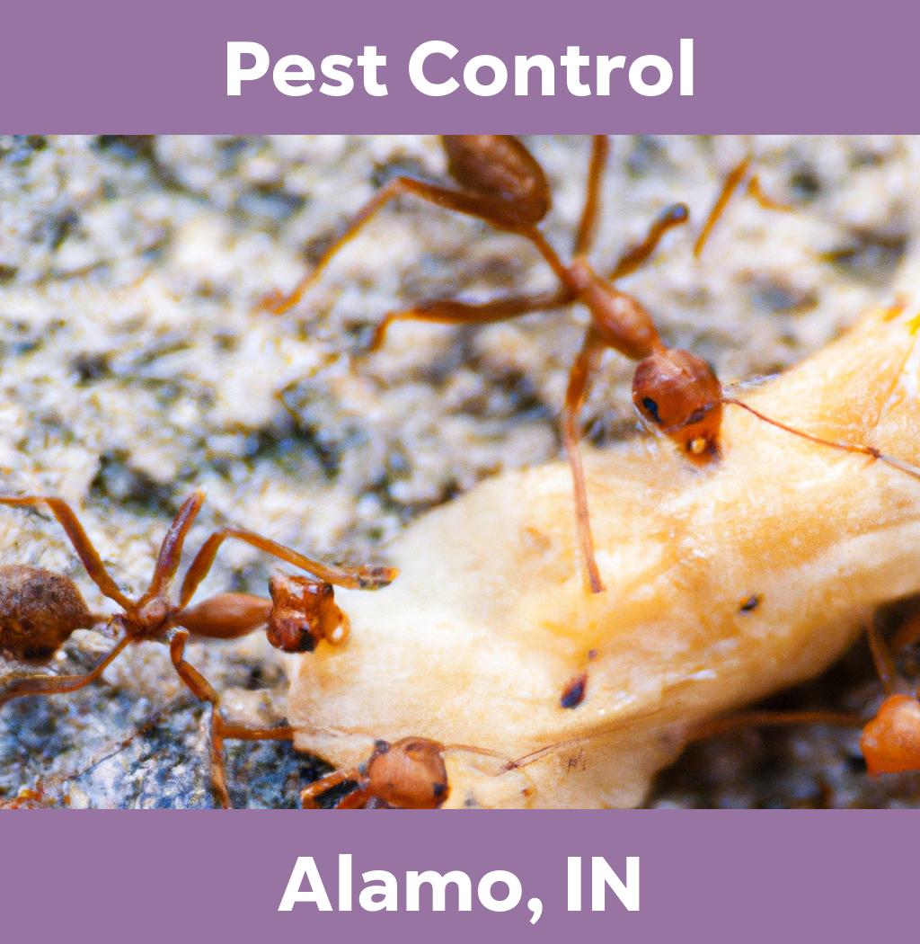 pest control in Alamo Indiana