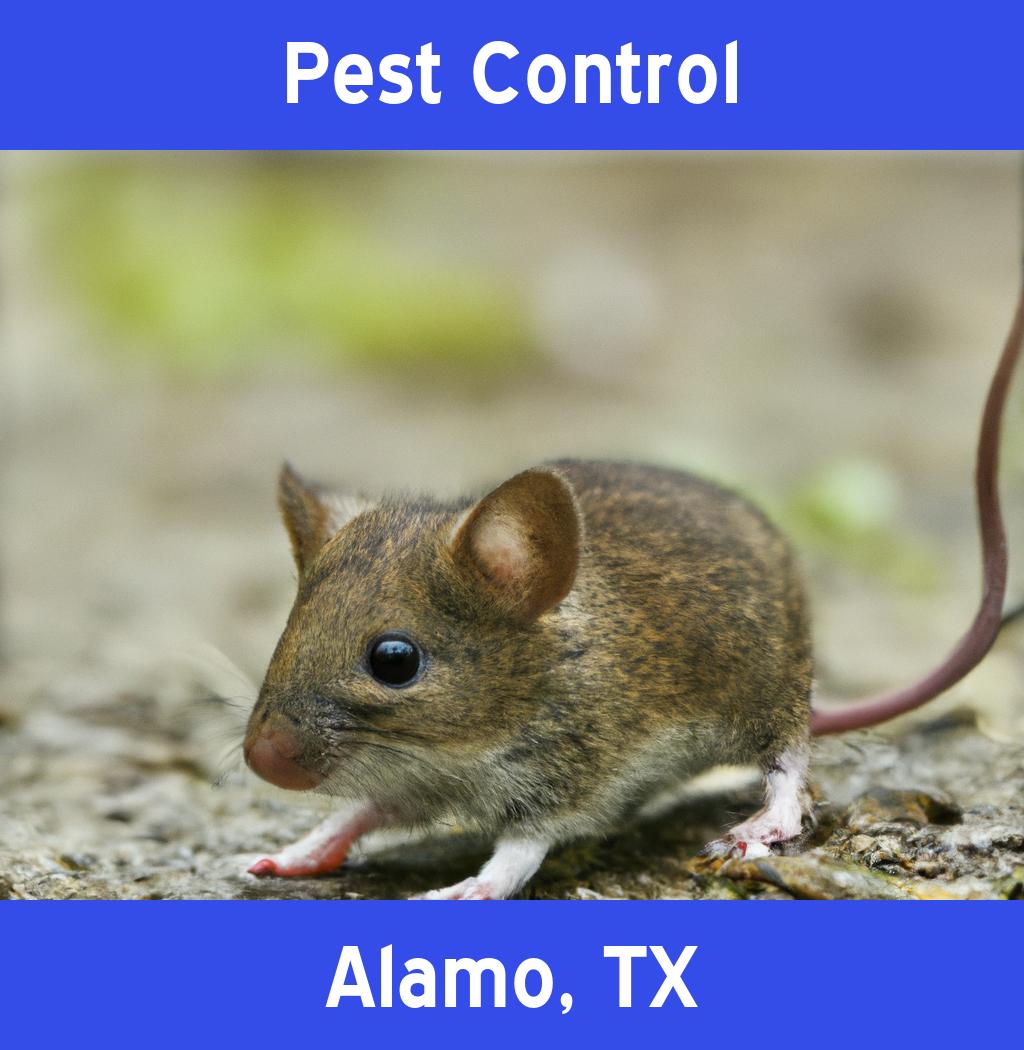 pest control in Alamo Texas