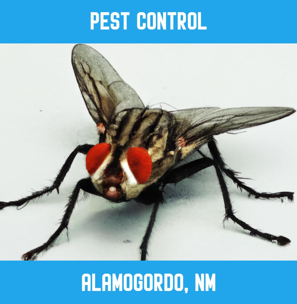 pest control in Alamogordo New Mexico