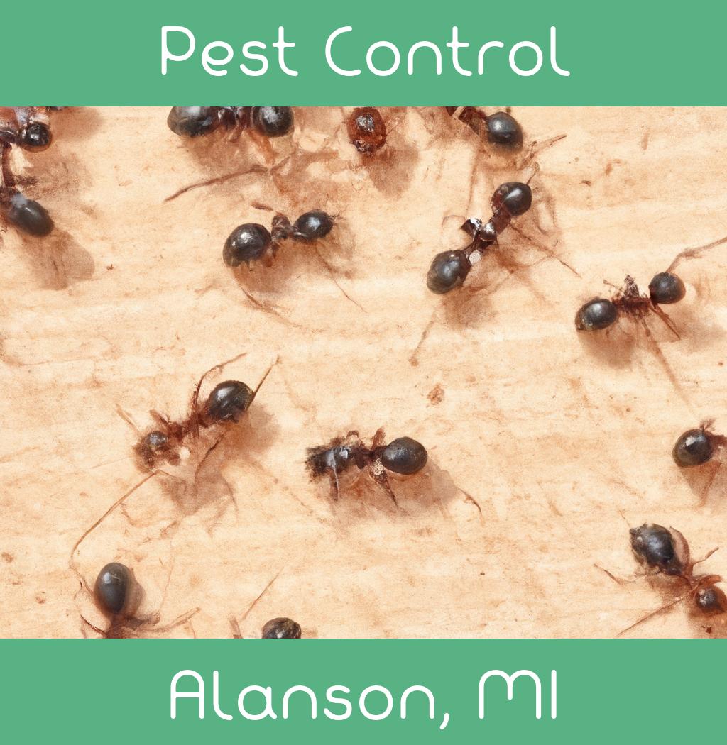 pest control in Alanson Michigan