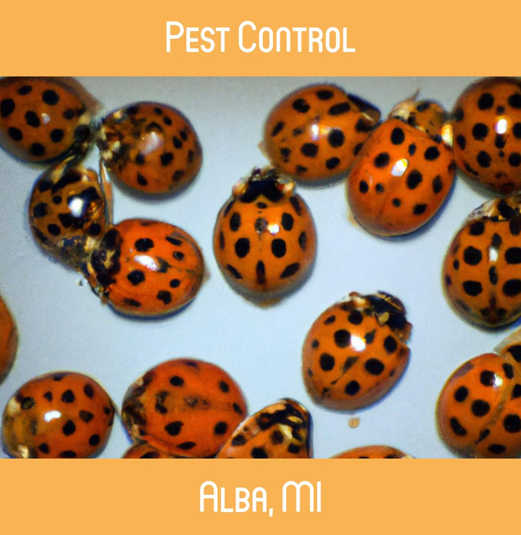 pest control in Alba Michigan