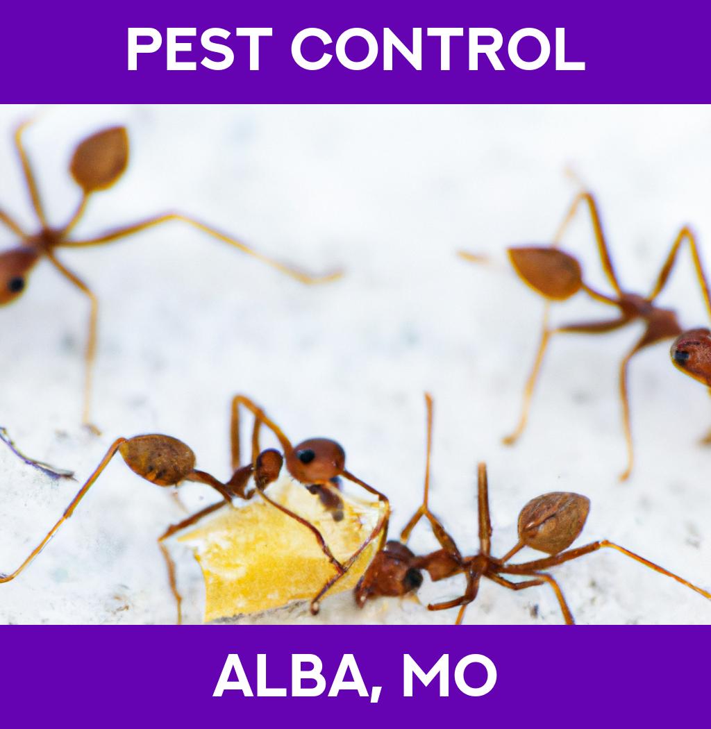 pest control in Alba Missouri