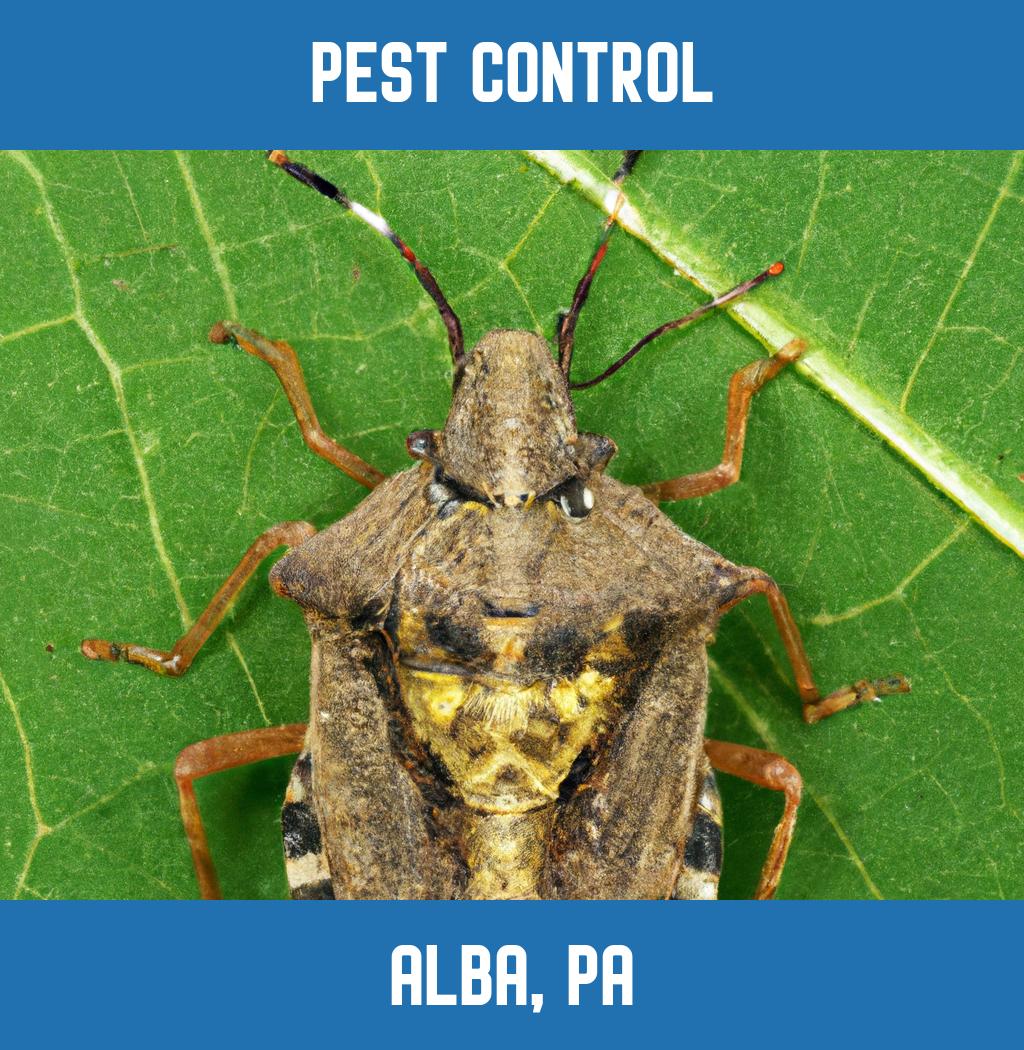pest control in Alba Pennsylvania