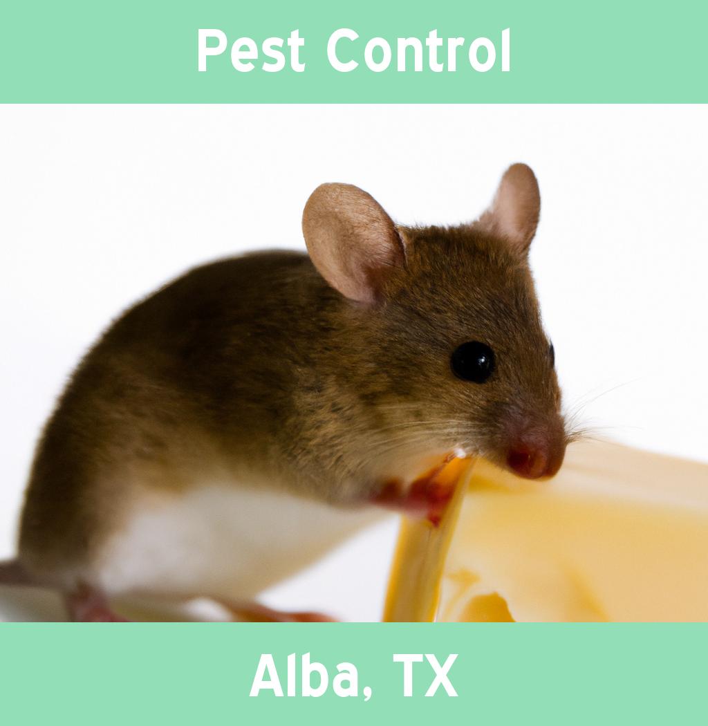 pest control in Alba Texas