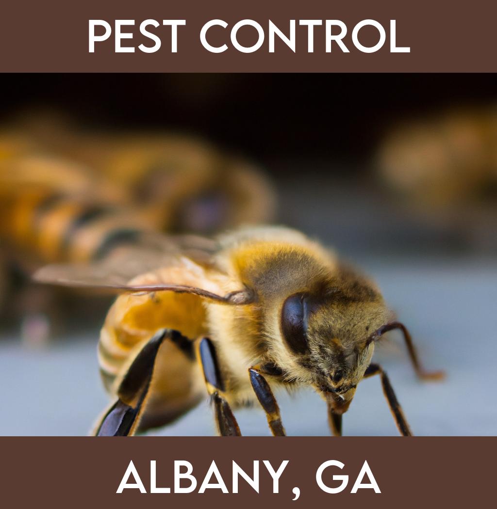 pest control in Albany Georgia