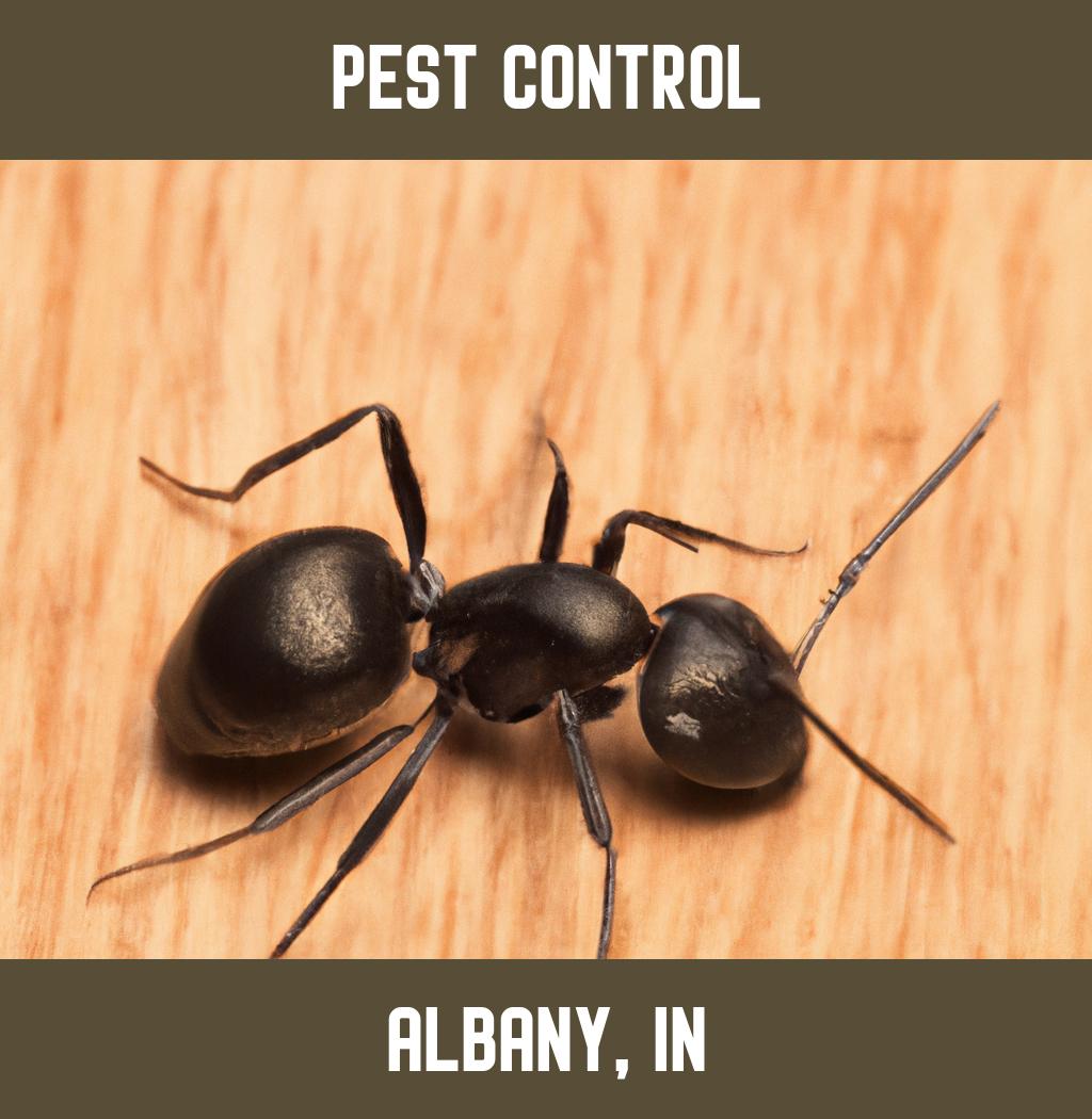 pest control in Albany Indiana