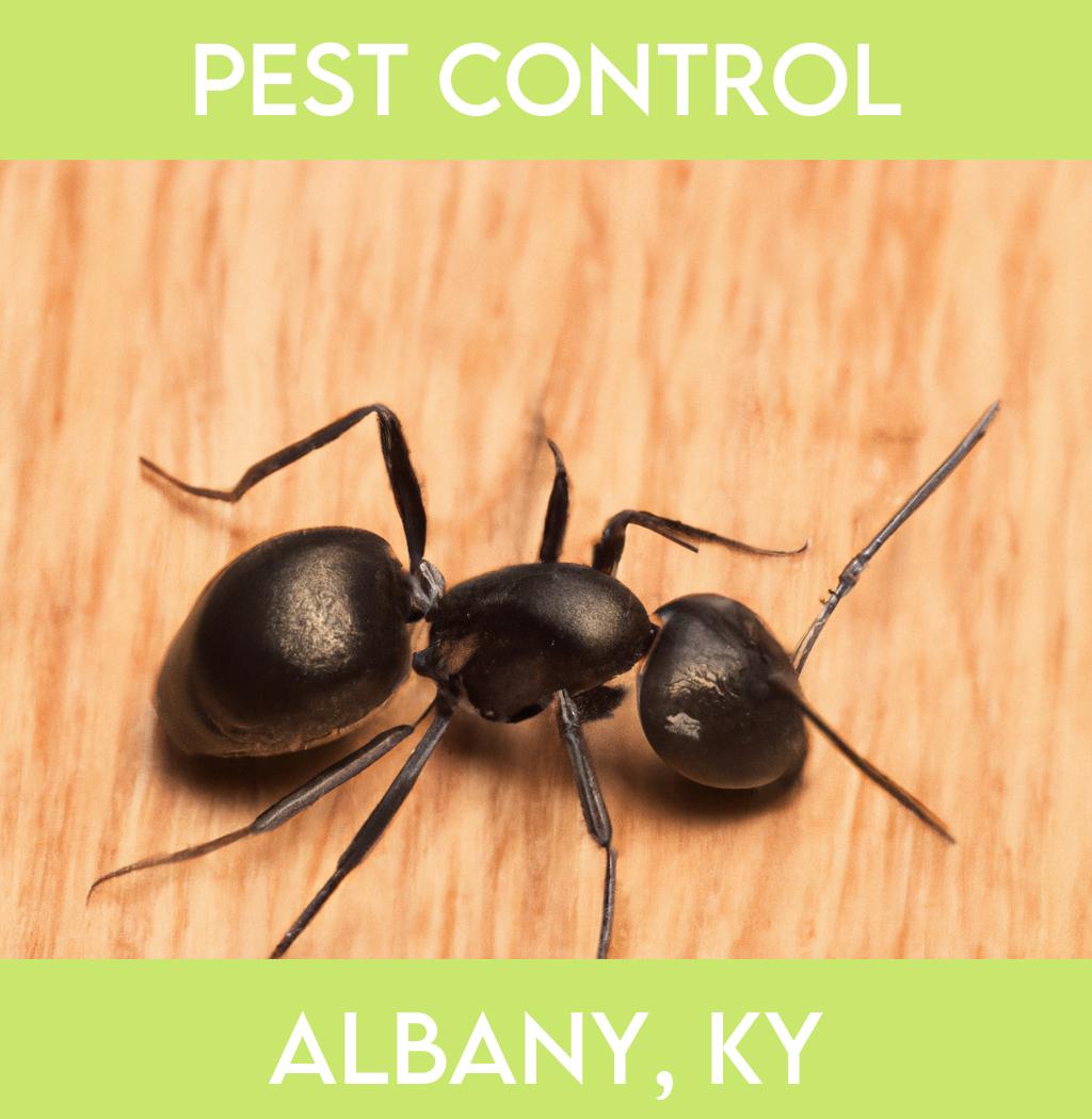 pest control in Albany Kentucky