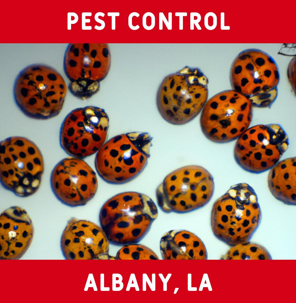 pest control in Albany Louisiana