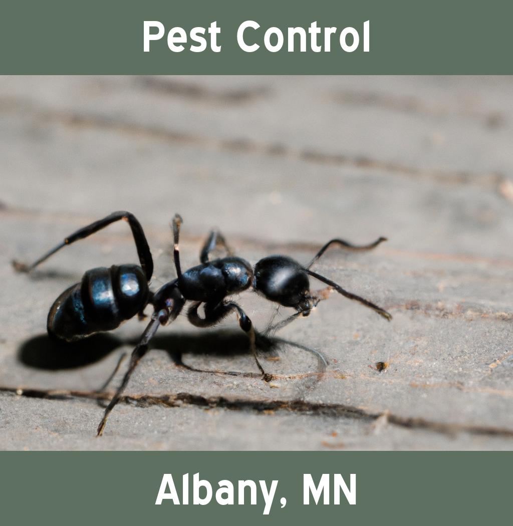 pest control in Albany Minnesota