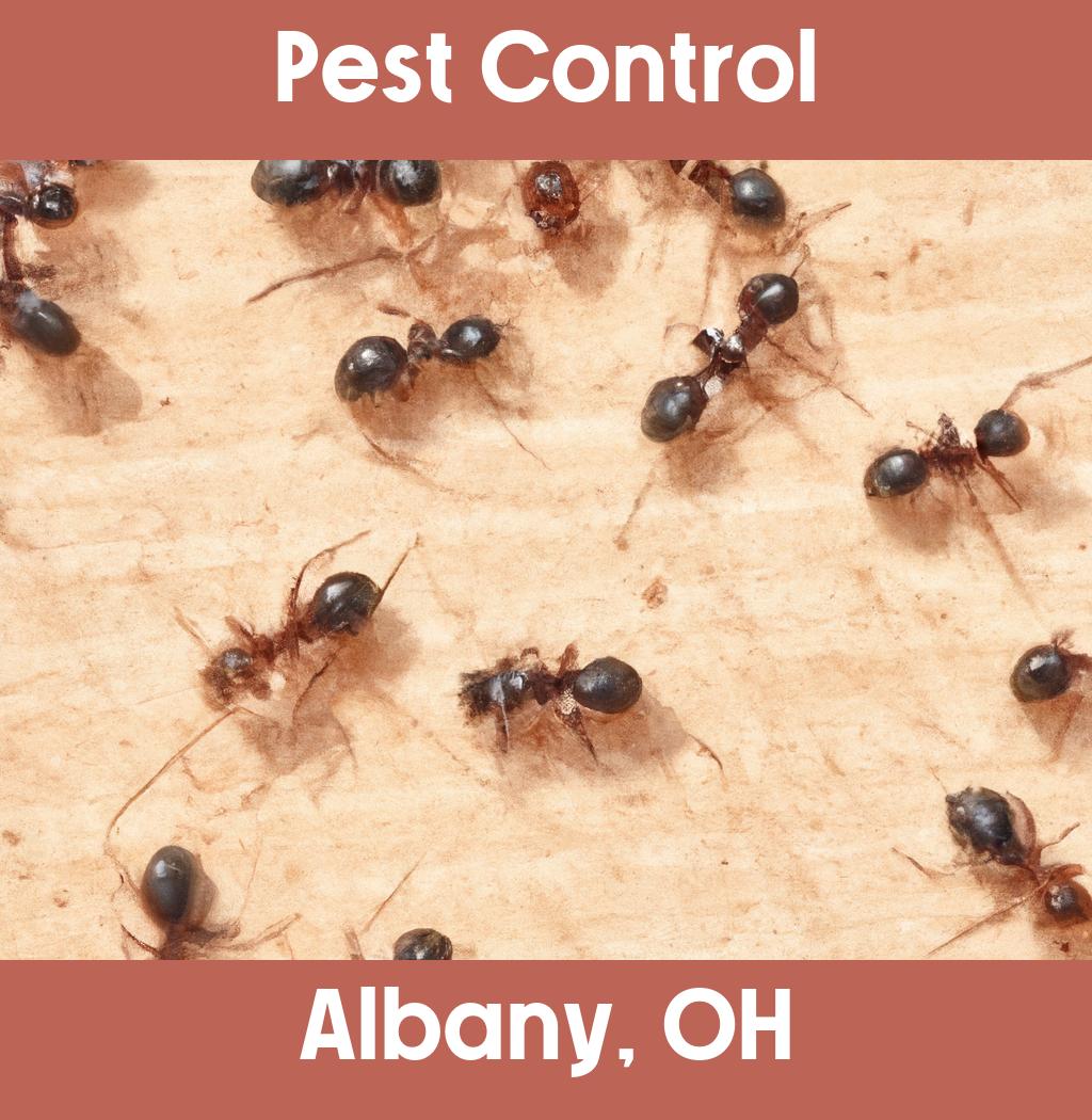 pest control in Albany Ohio
