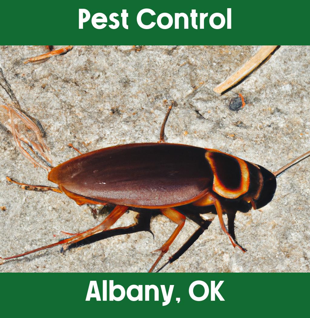 pest control in Albany Oklahoma