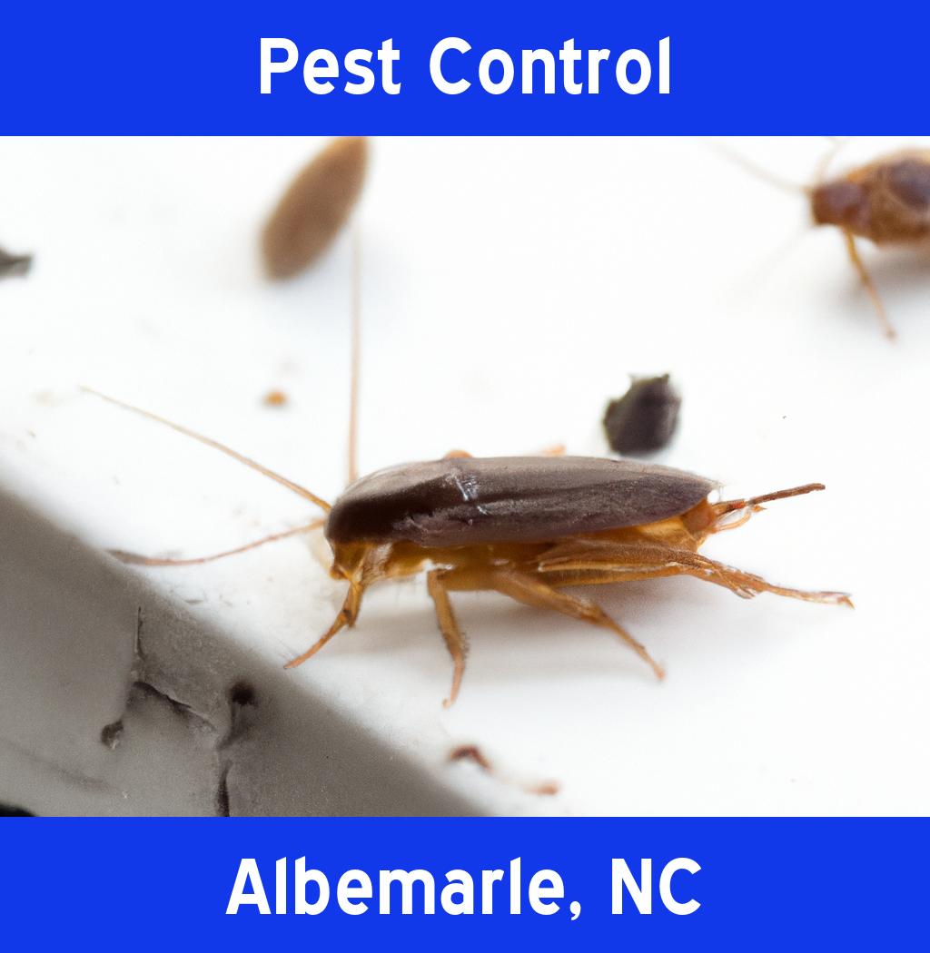 pest control in Albemarle North Carolina