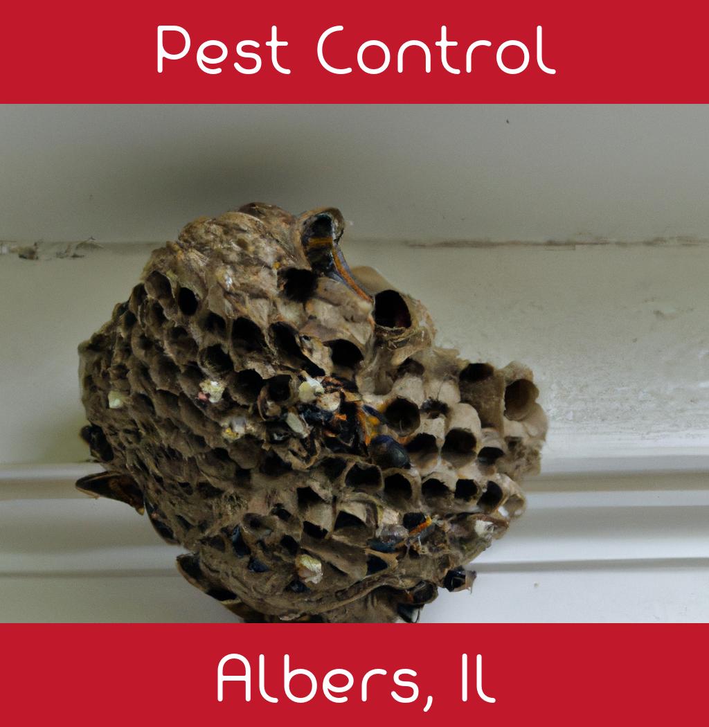 pest control in Albers Illinois