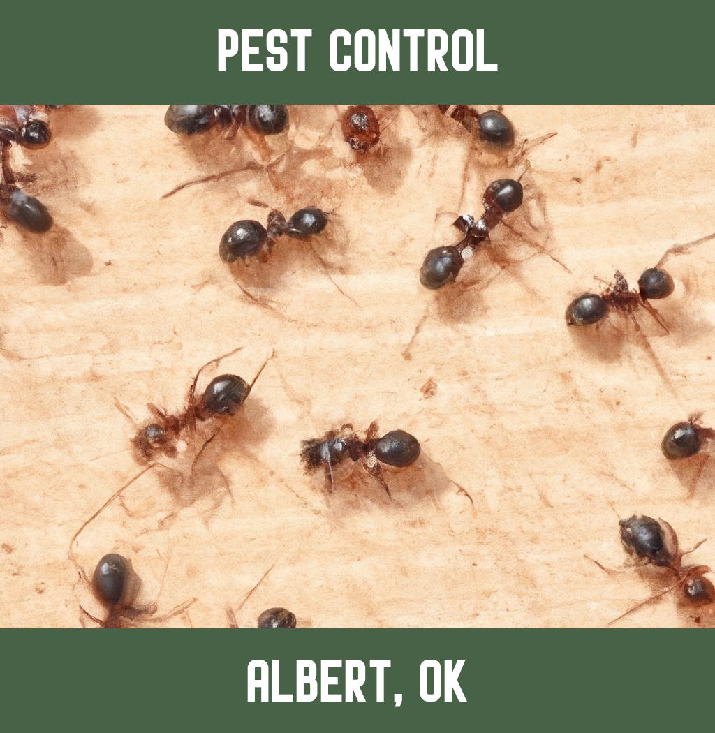 pest control in Albert Oklahoma