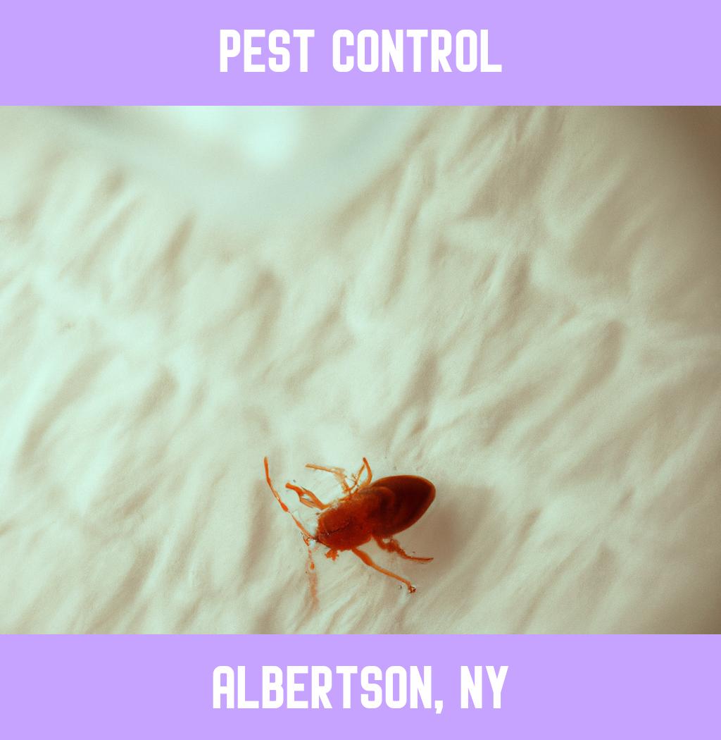 pest control in Albertson New York
