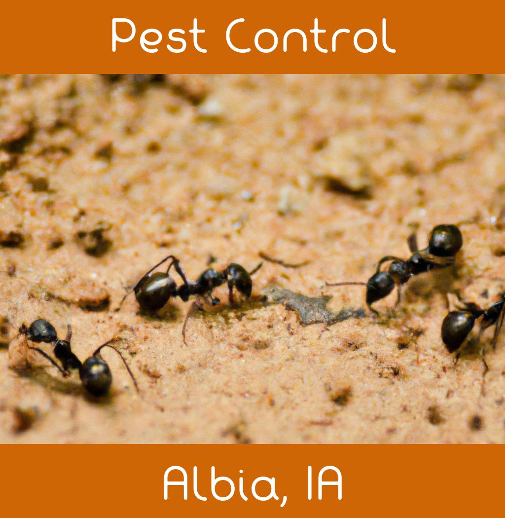 pest control in Albia Iowa