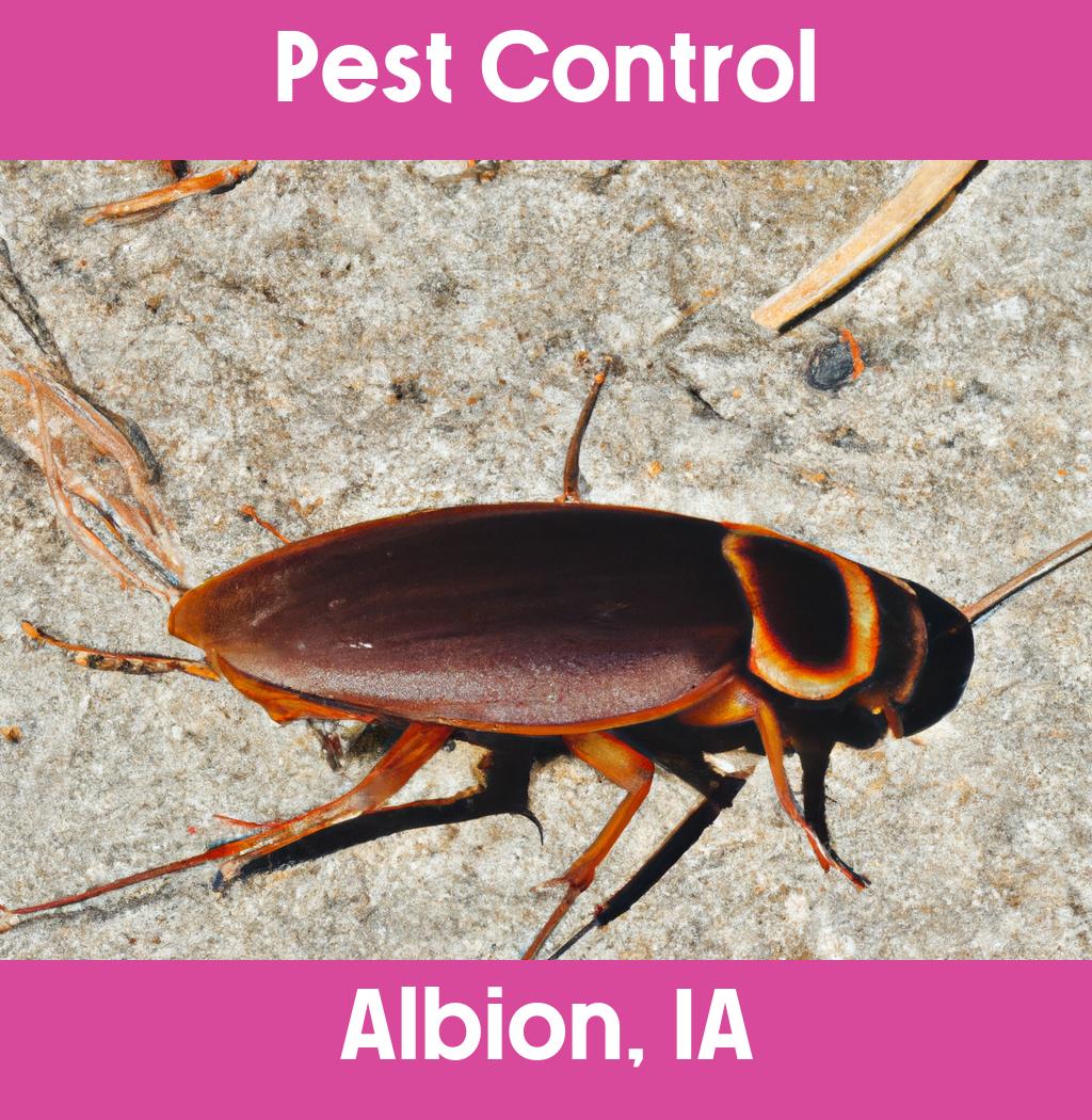 pest control in Albion Iowa