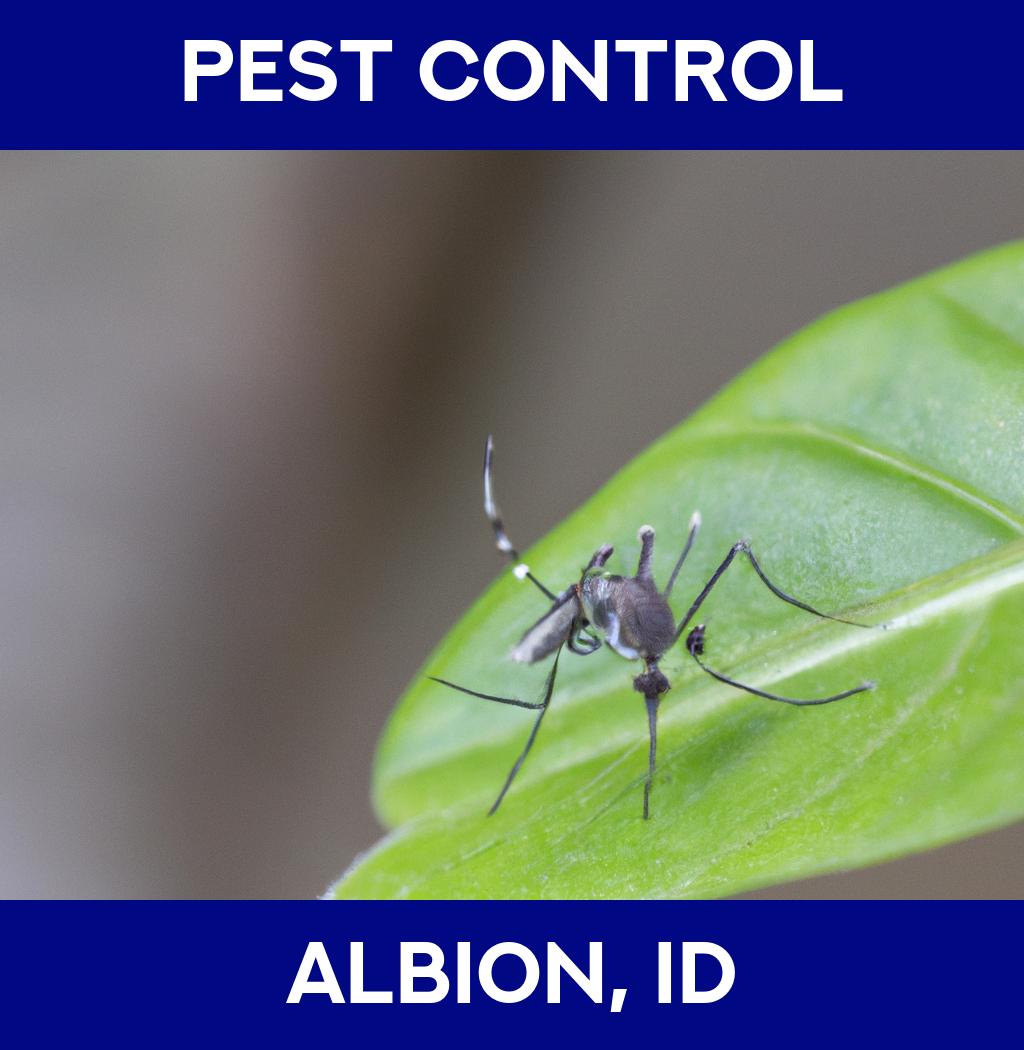 pest control in Albion Idaho