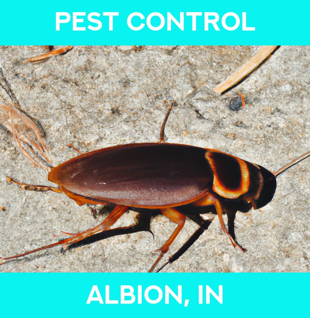 pest control in Albion Indiana