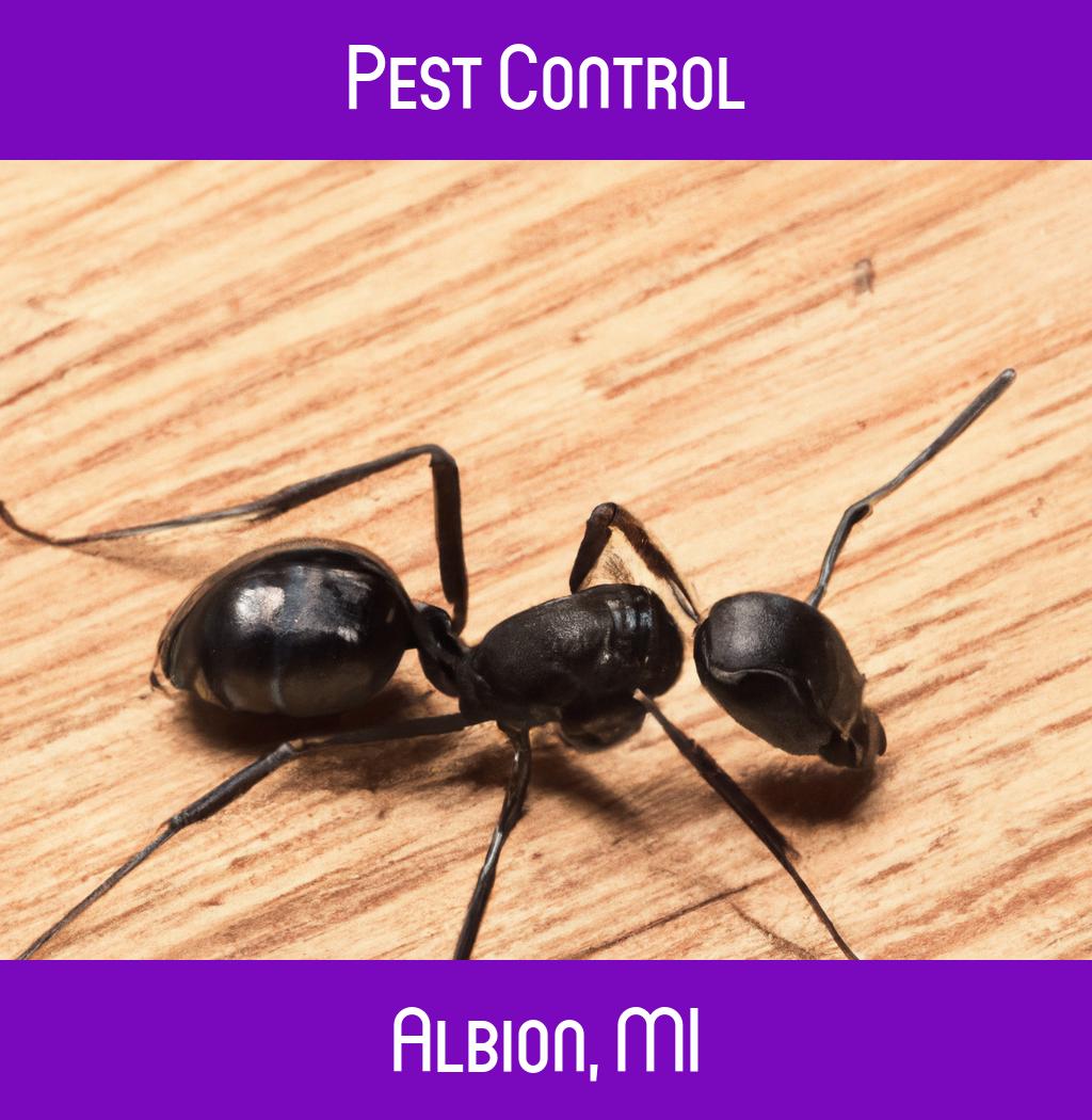pest control in Albion Michigan