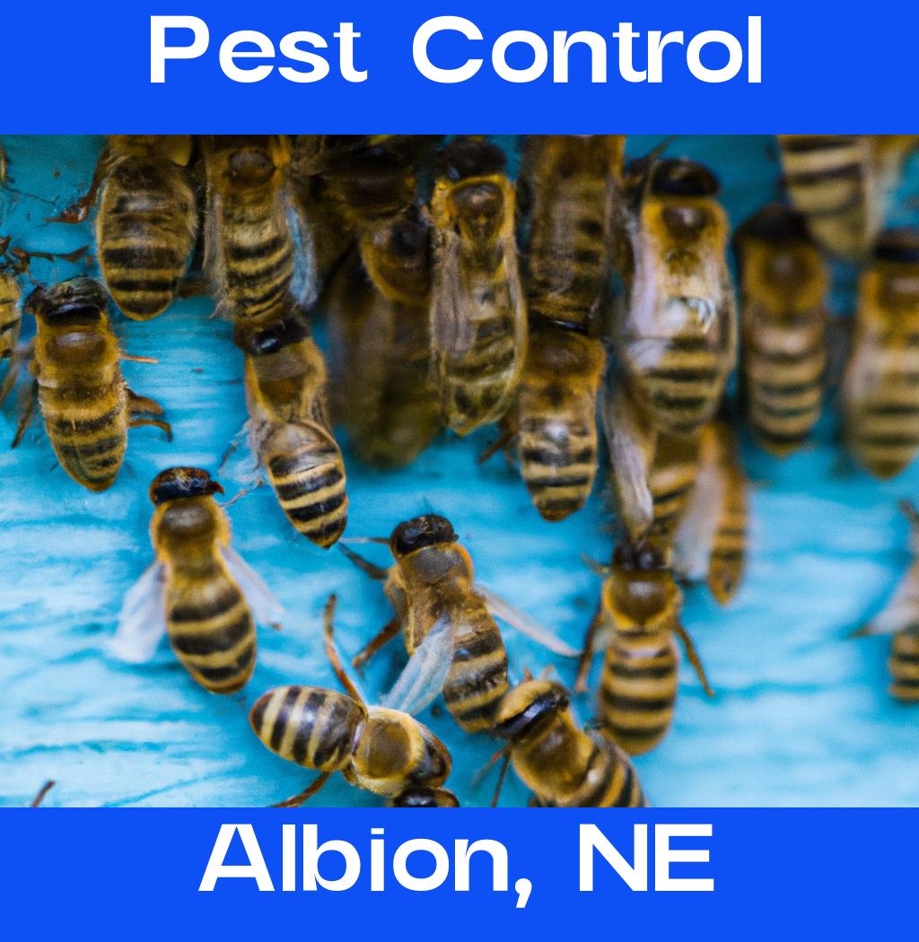 pest control in Albion Nebraska