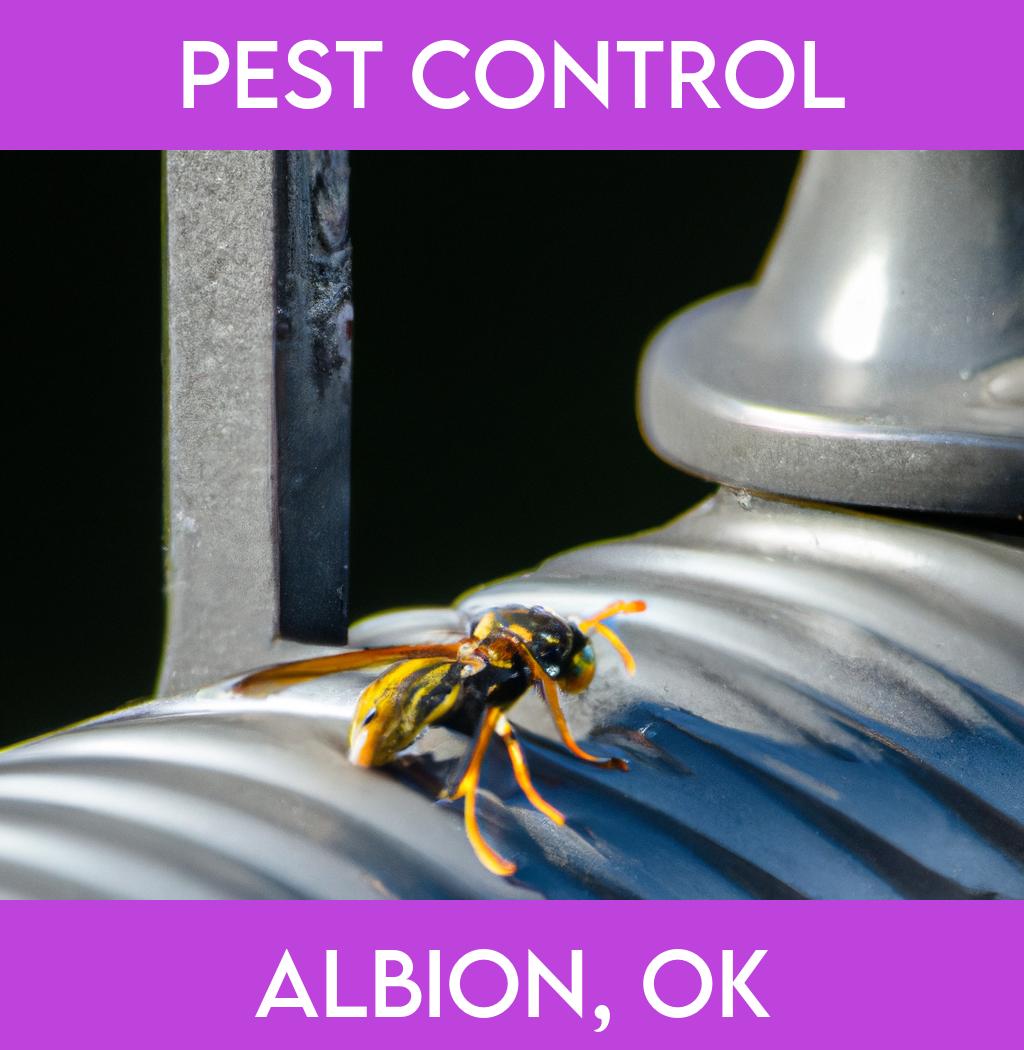 pest control in Albion Oklahoma