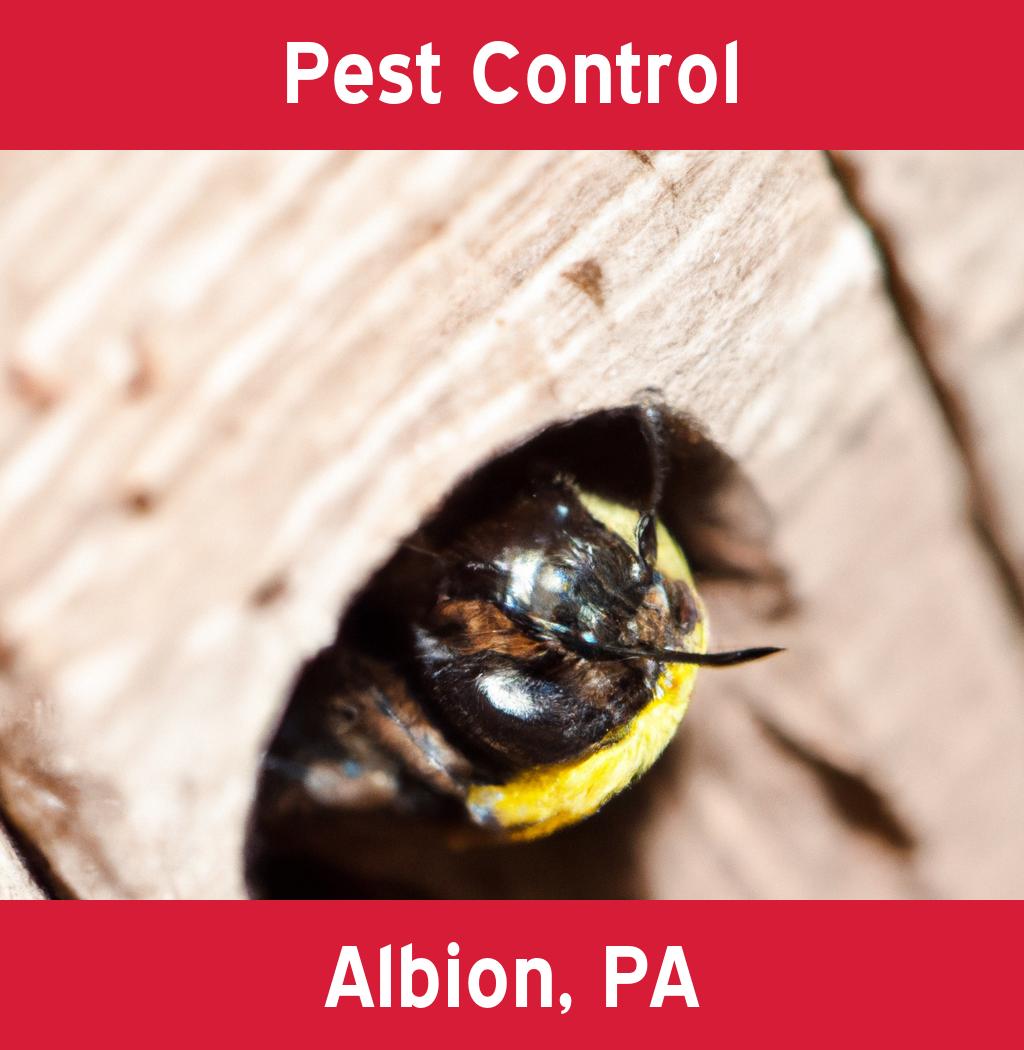 pest control in Albion Pennsylvania
