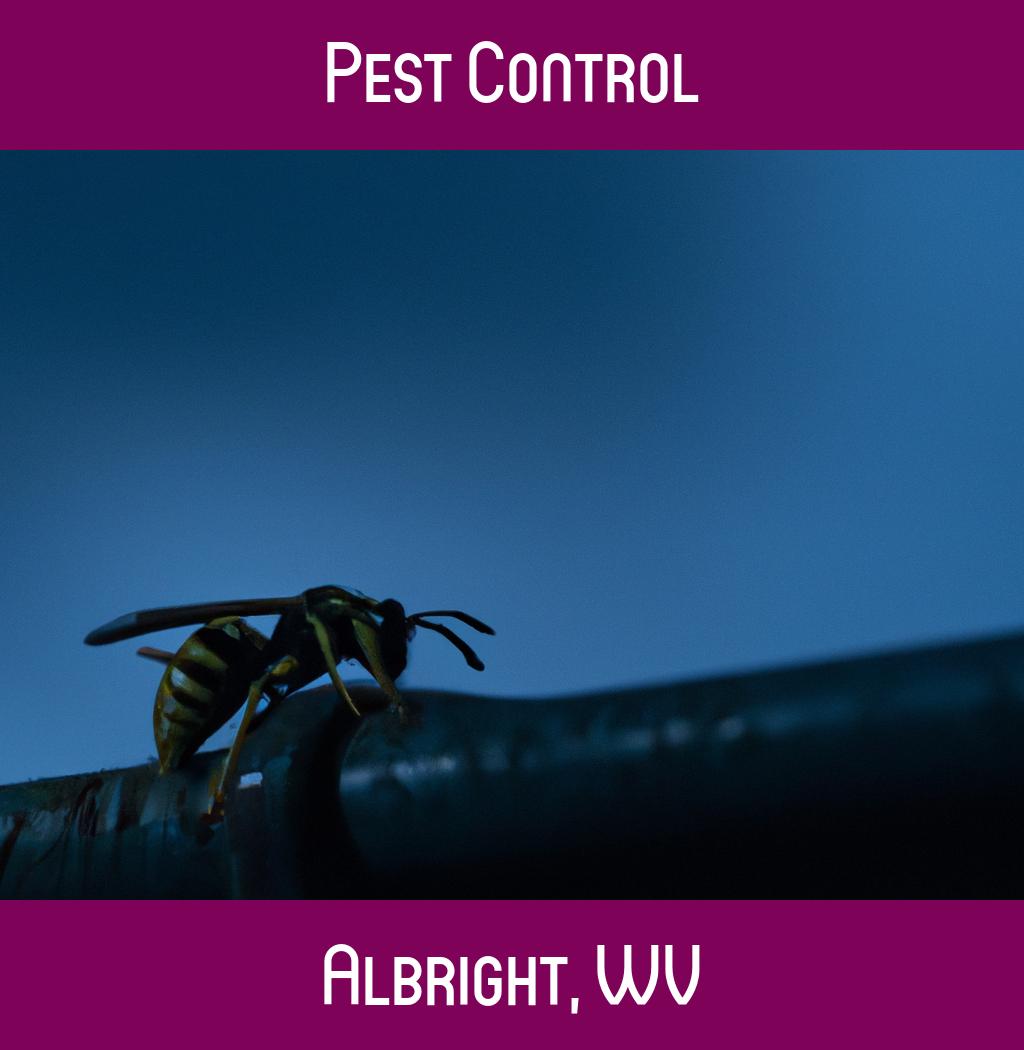 pest control in Albright West Virginia